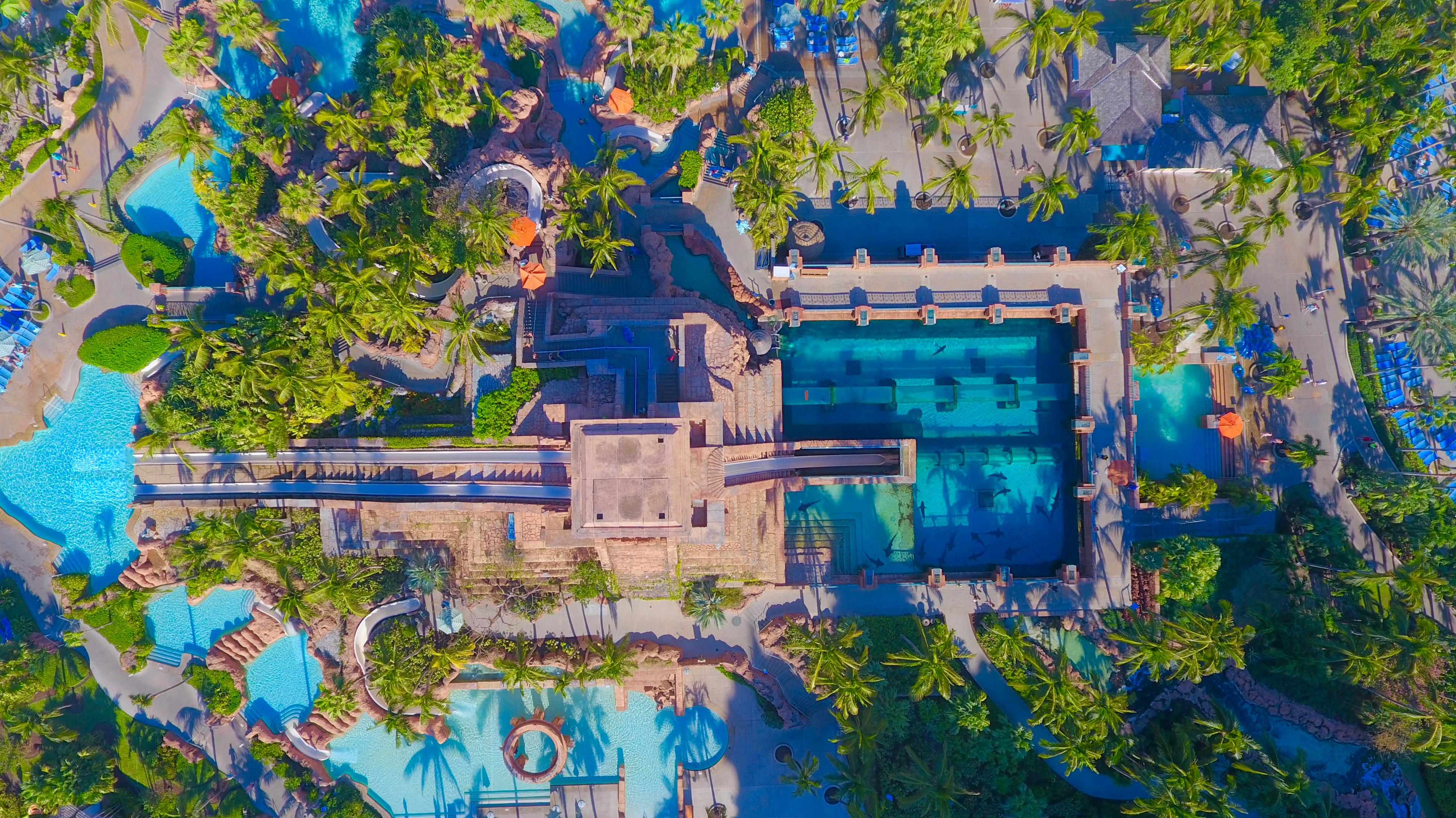 Resort The Cove At Atlantis